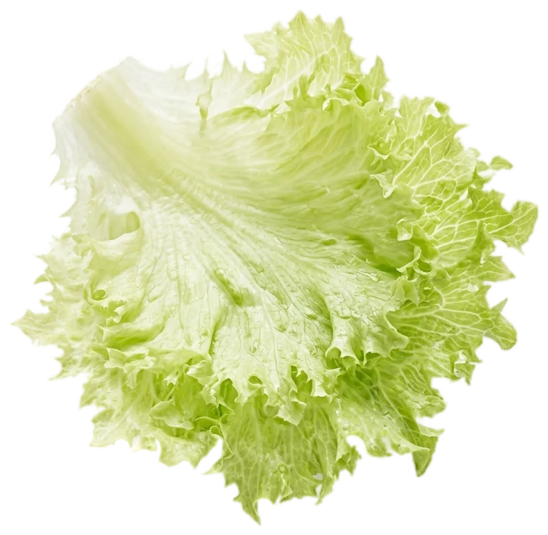 Iceberg